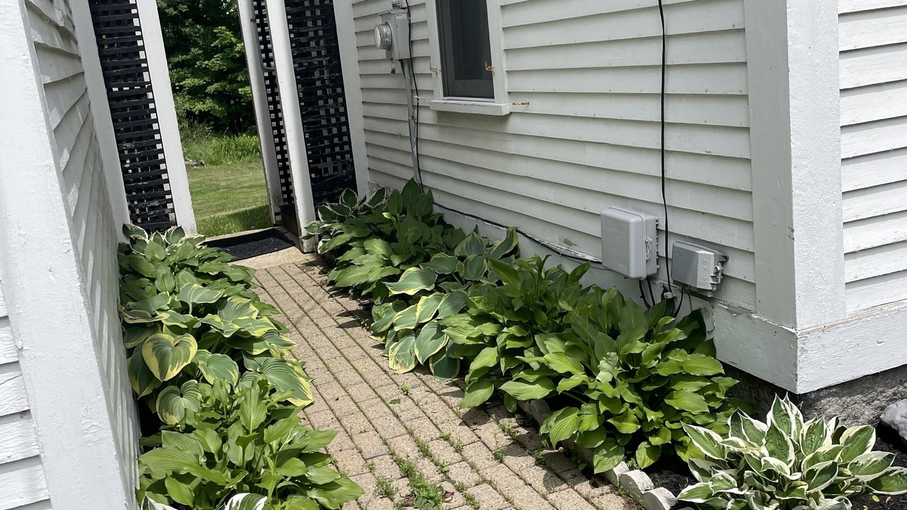 Photo of Outdoor in Franklin