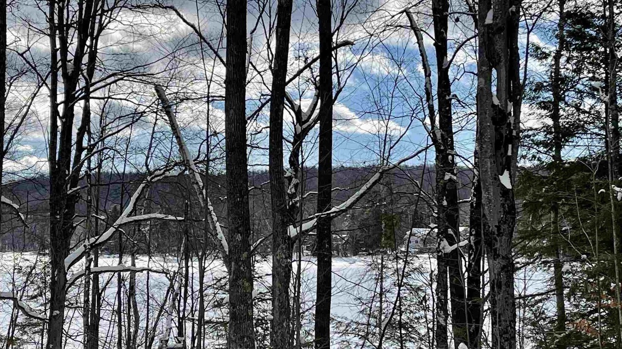 Photo of Others in Lyme Center