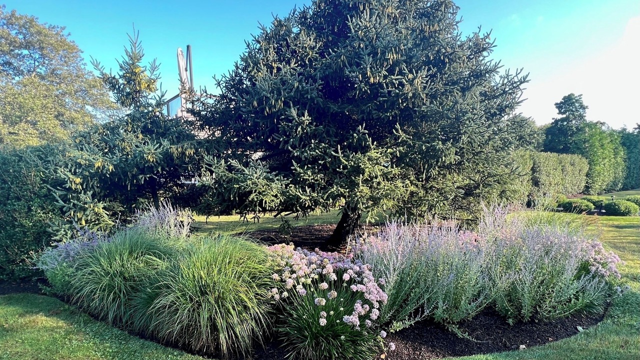 Photo of Outdoor in Remsenburg
