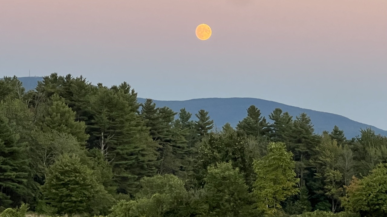 Photo of Outdoor in New London