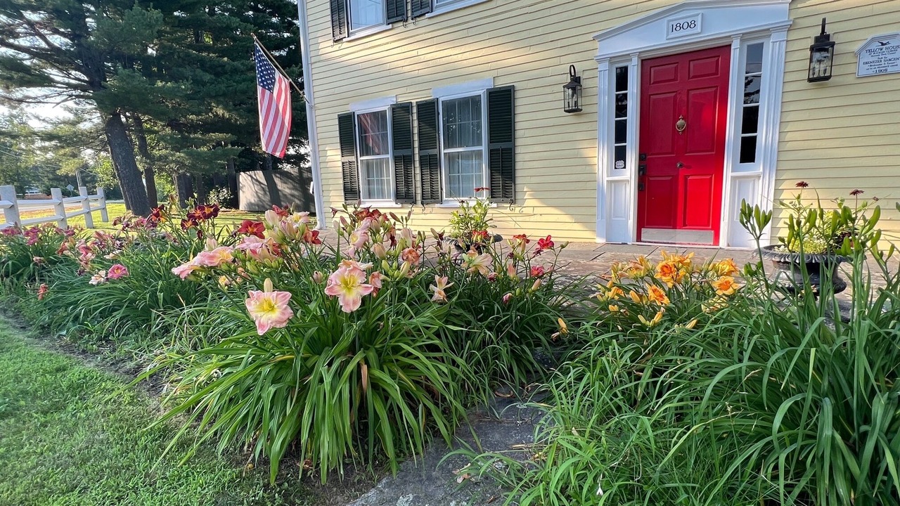 Photo of Outdoor in New London
