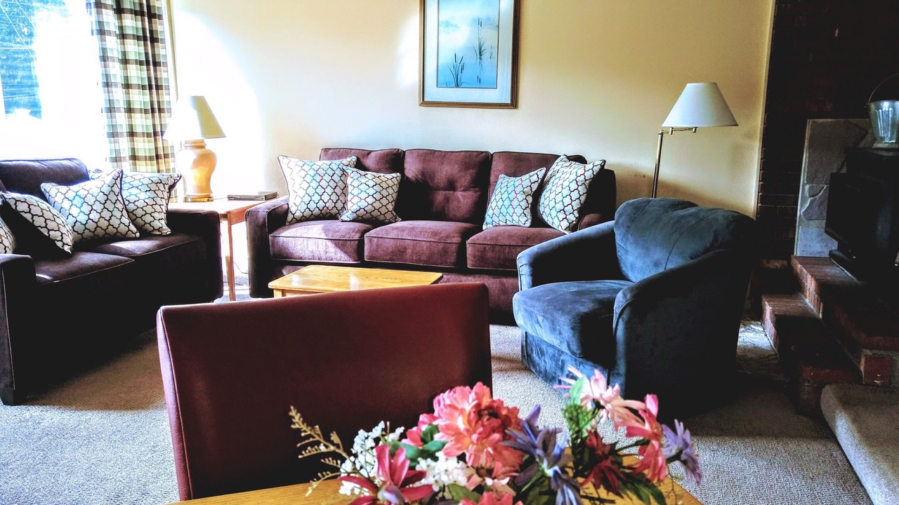 Photo of Livingroom in Intervale