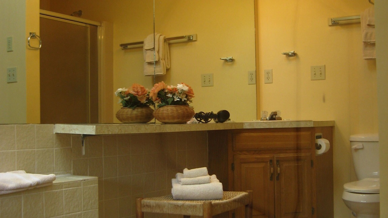Photo of Bathroom in Intervale