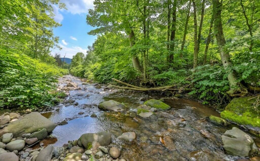 Photo of Outdoor in Shandaken