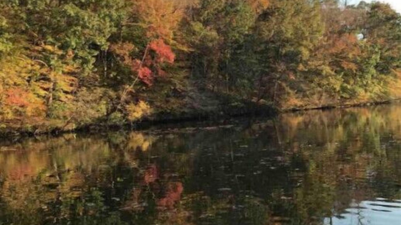 Photo of Outdoor in Goodview