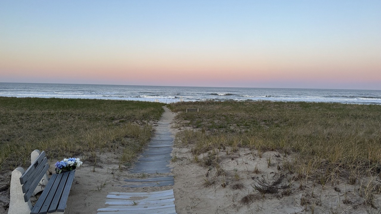 Photo of Others in Seabrook