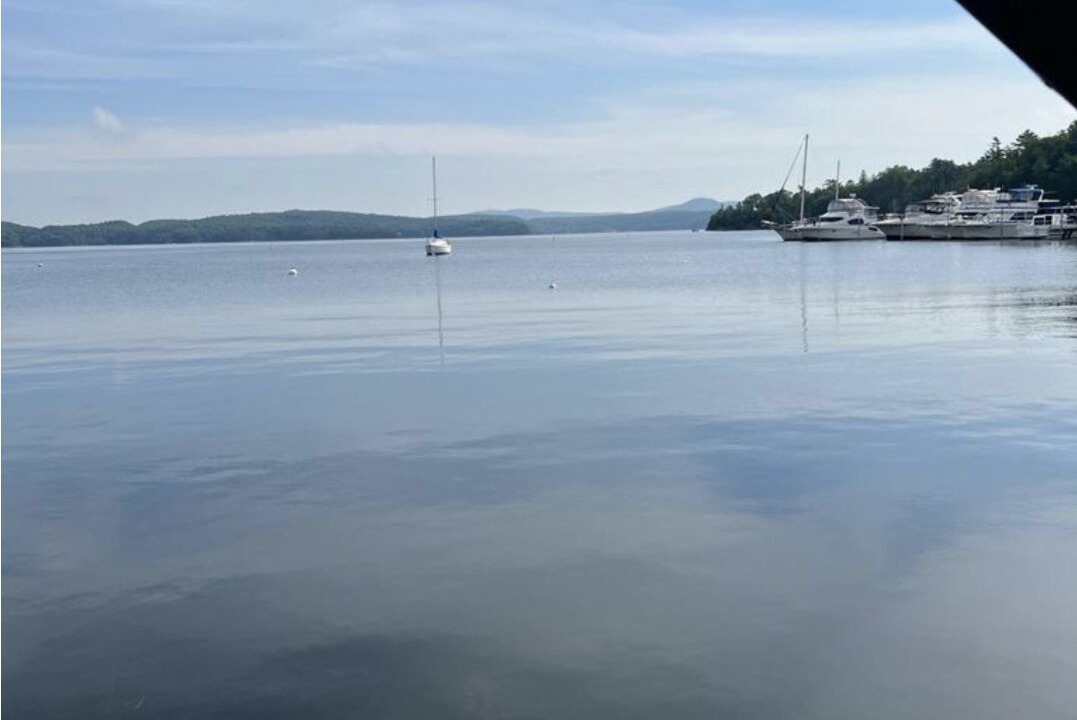 Photo of Others in Malletts Bay