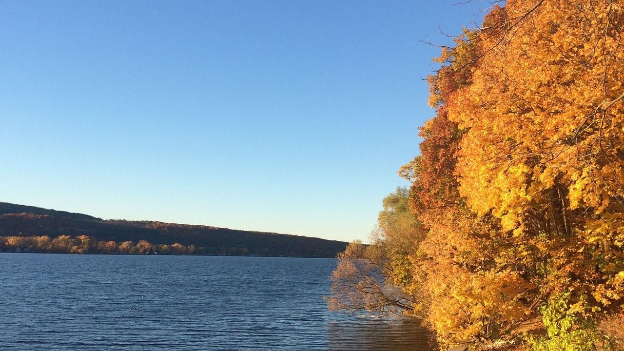 Photo of Others in Honeoye