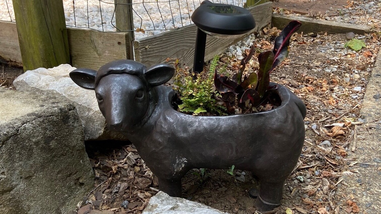 Photo of Outdoor in Shepherdstown