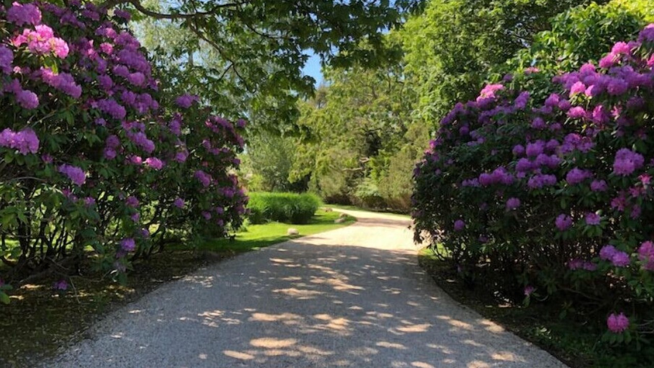 Photo of Outdoor in Bellport