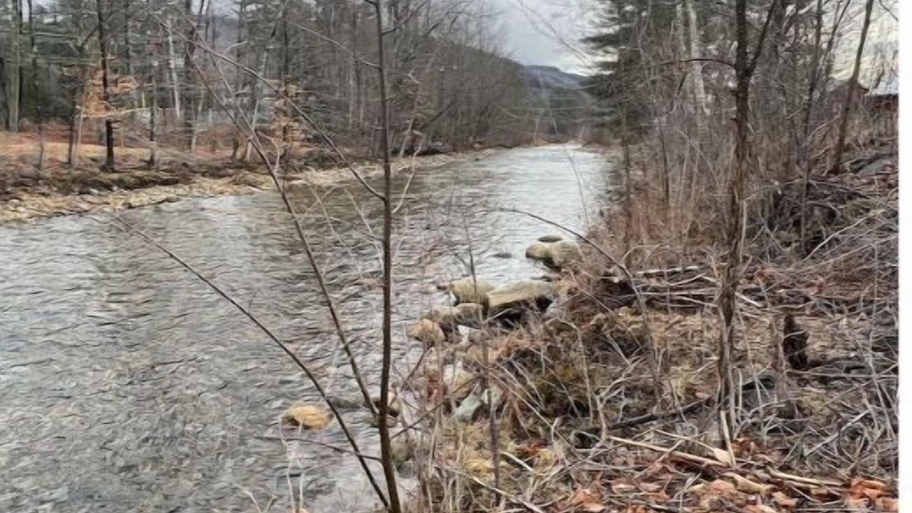 Photo of Others in North Woodstock