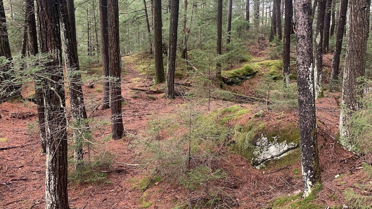 Photo of Outdoor in Cavendish