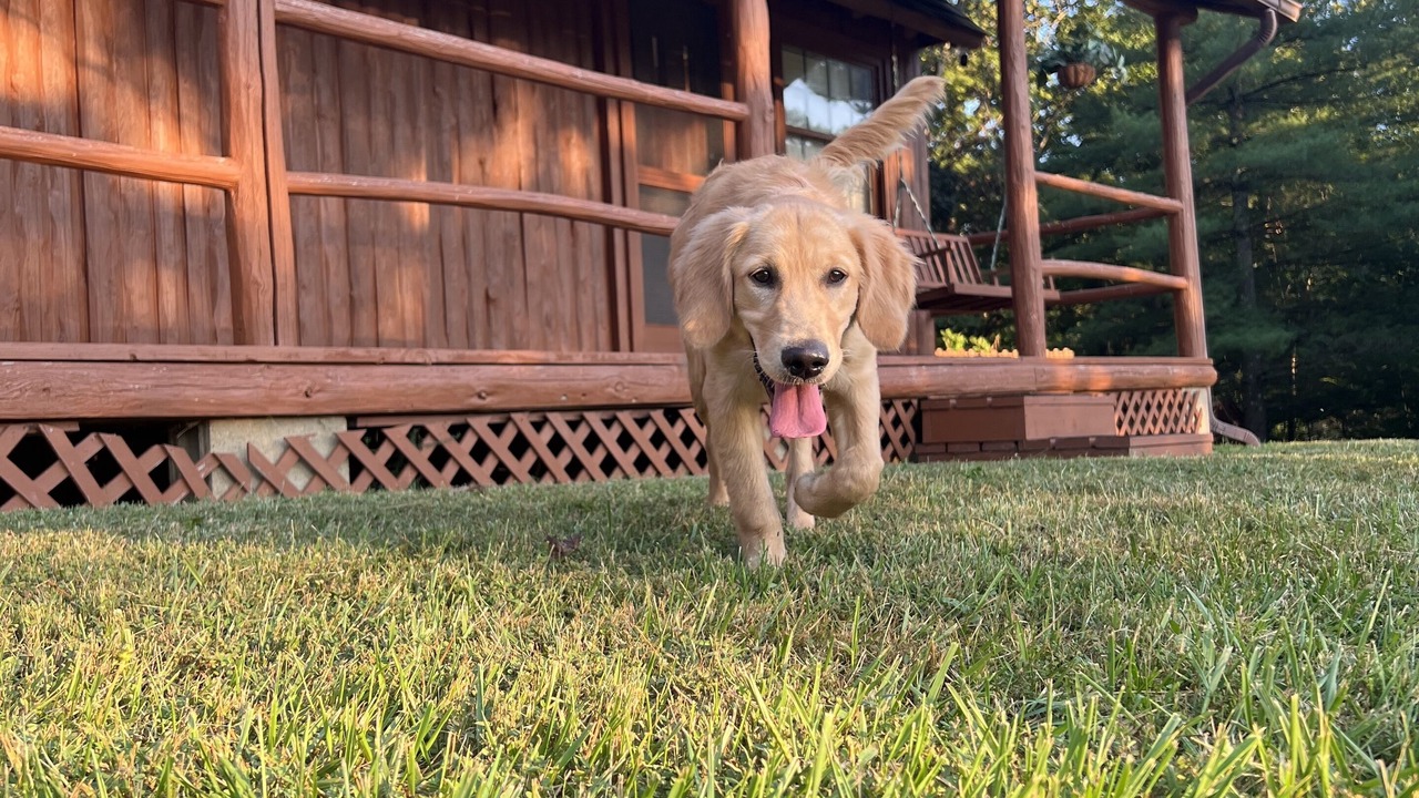 Photo of Outdoor in West Columbia