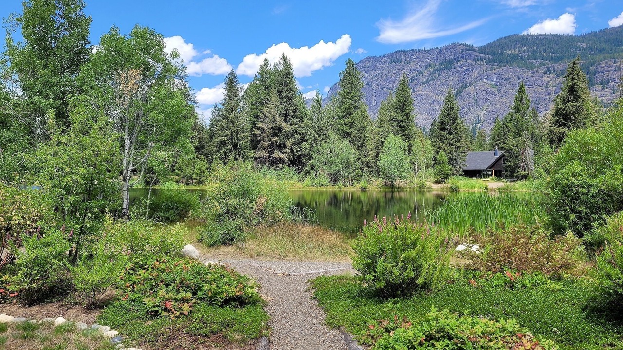 Photo of Outdoor in Mazama