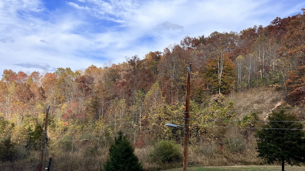 Photo of Outdoor in Chapmanville
