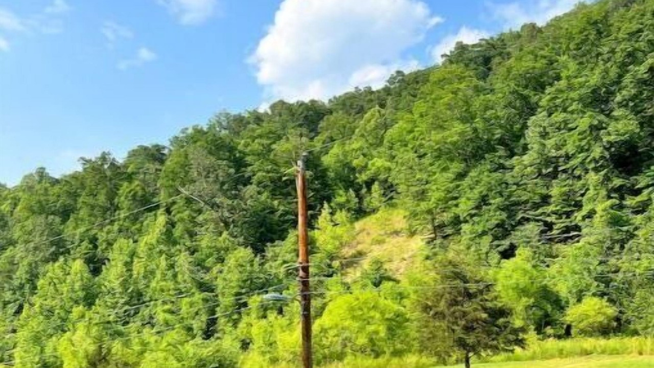 Photo of Others in Chapmanville