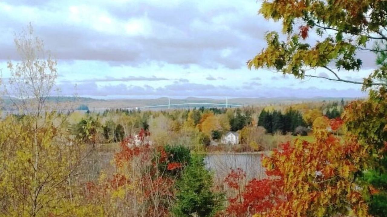 Photo of Outdoor in Brooklin