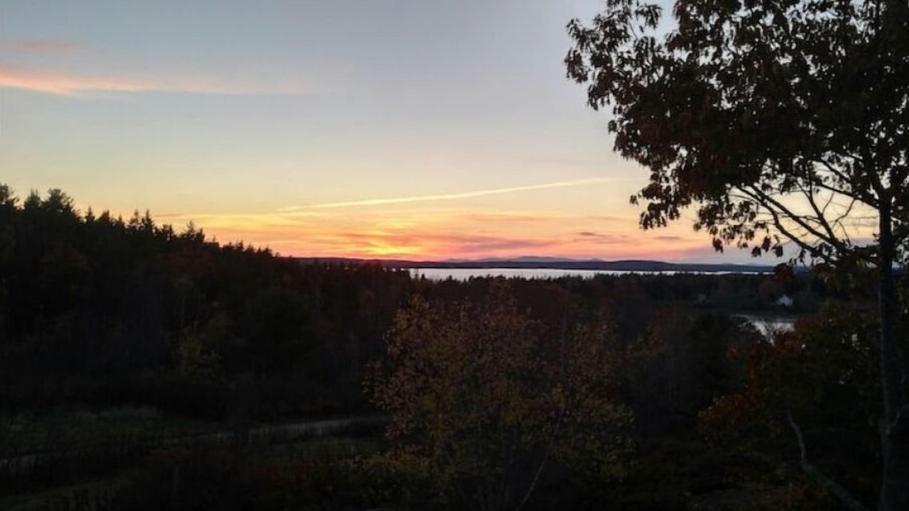 Photo of Outdoor in Brooklin