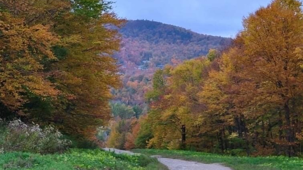 Photo of Outdoor in Killington