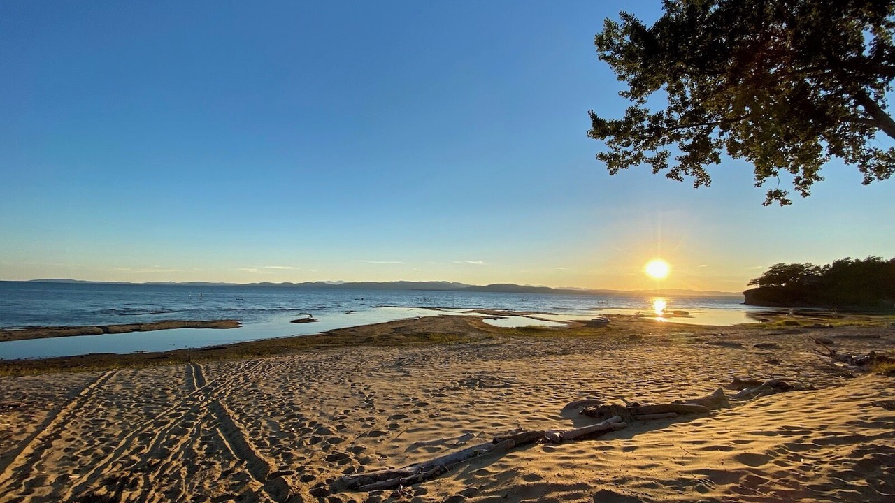 Photo of Others in Malletts Bay