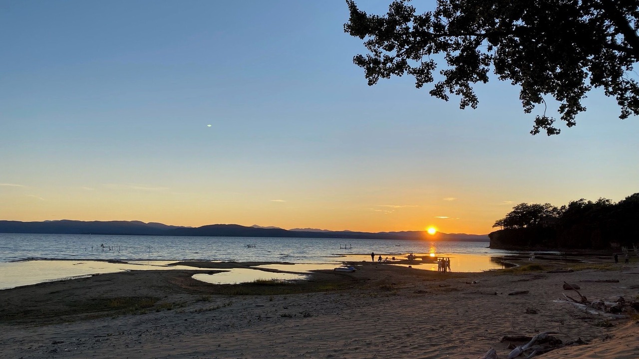 Photo of Others in Malletts Bay