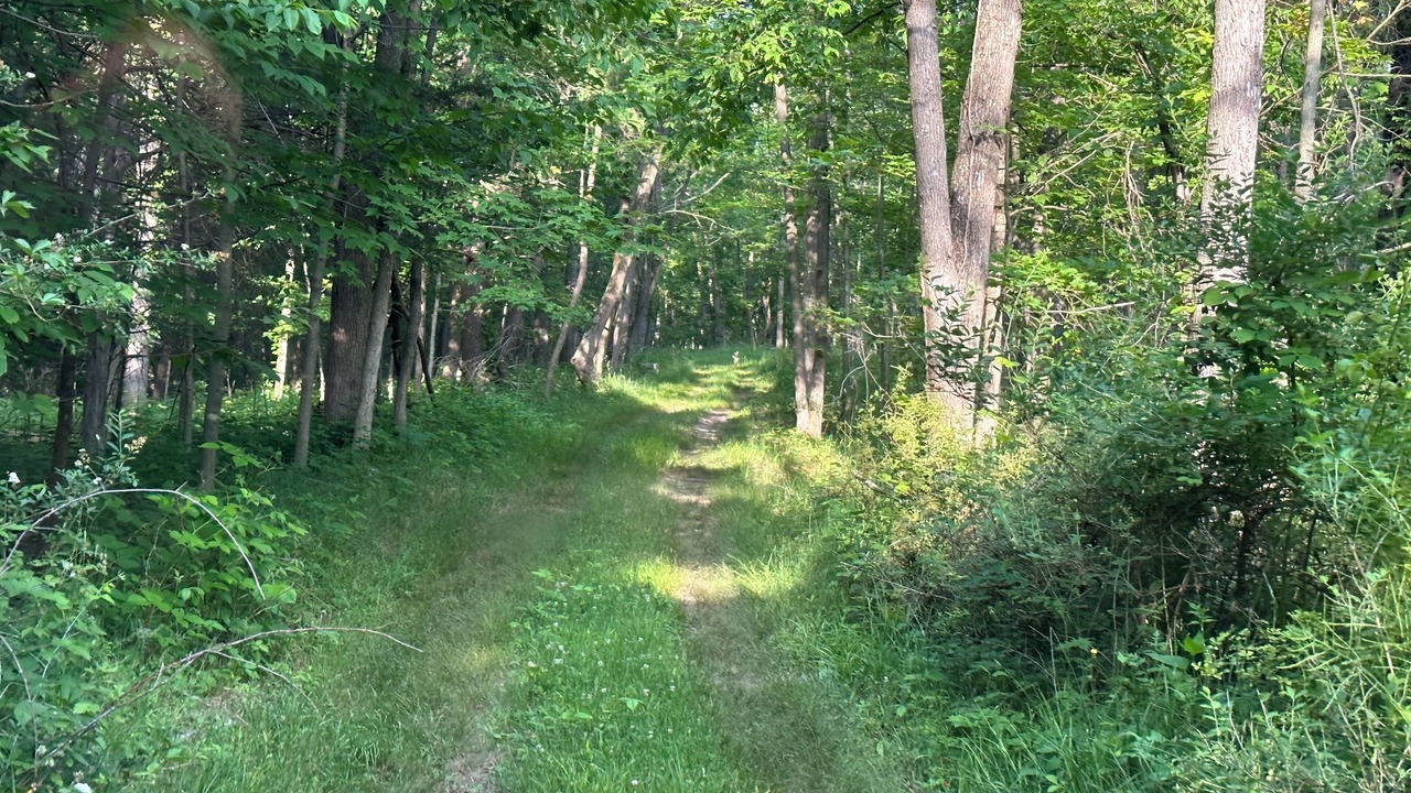Photo of Outdoor in Lodi
