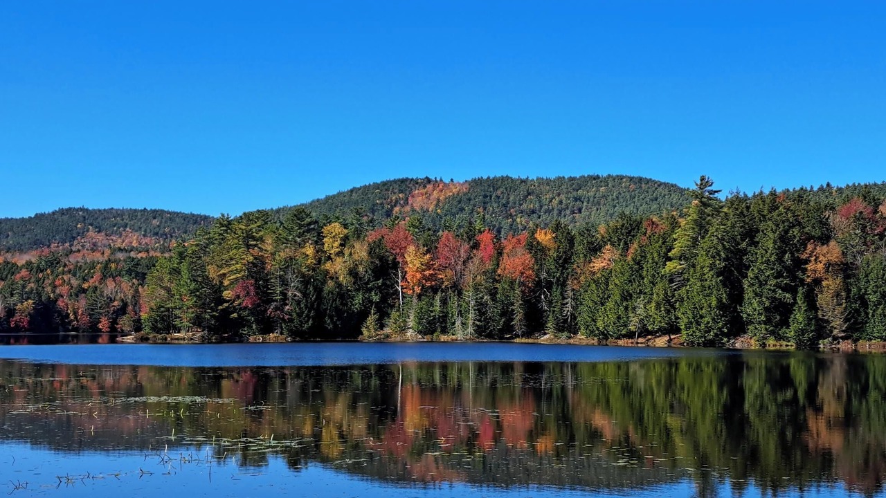 Photo of Others in Ticonderoga