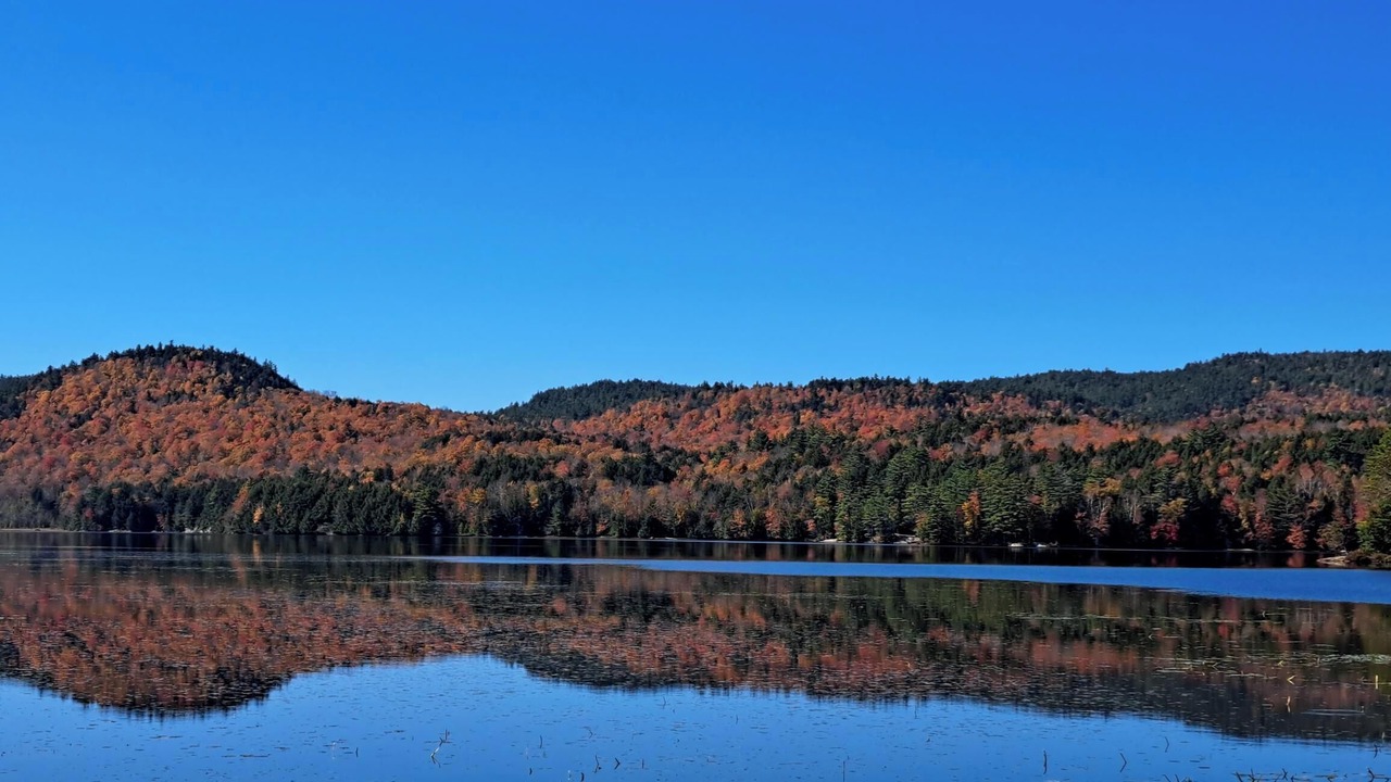Photo of Others in Ticonderoga