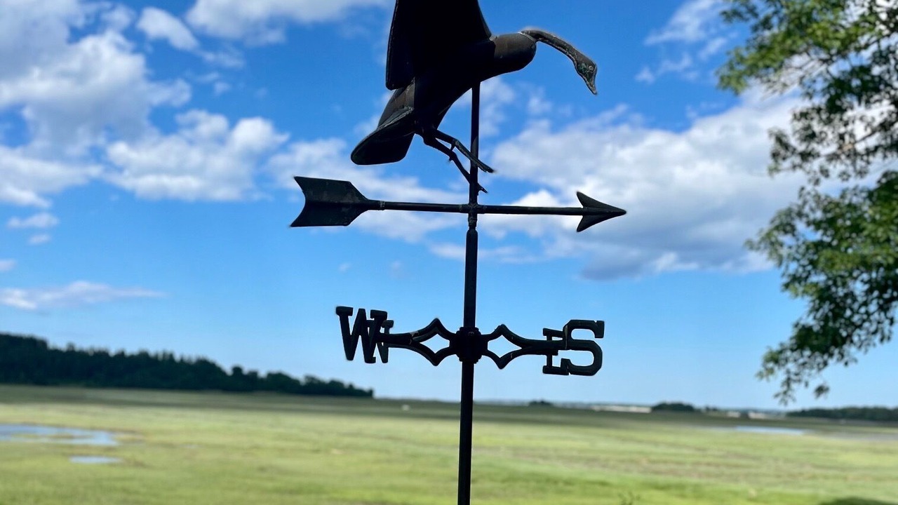 Photo of Outdoor in Essex
