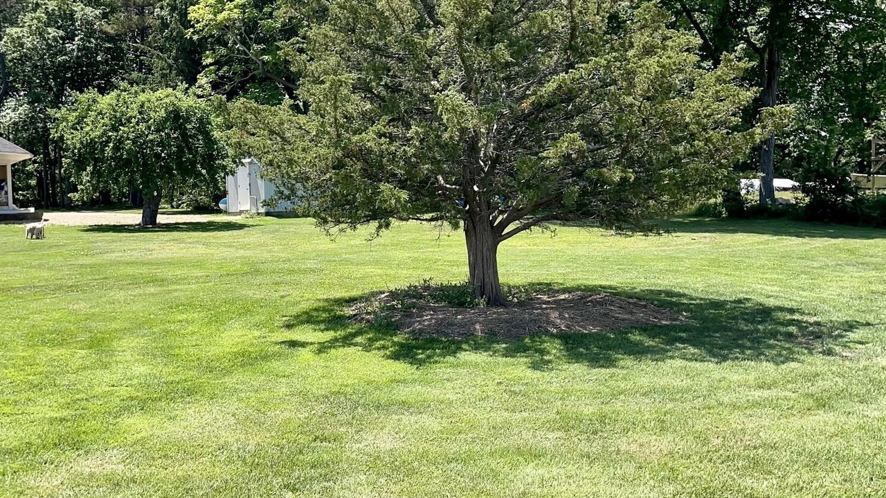 Photo of Outdoor in Essex