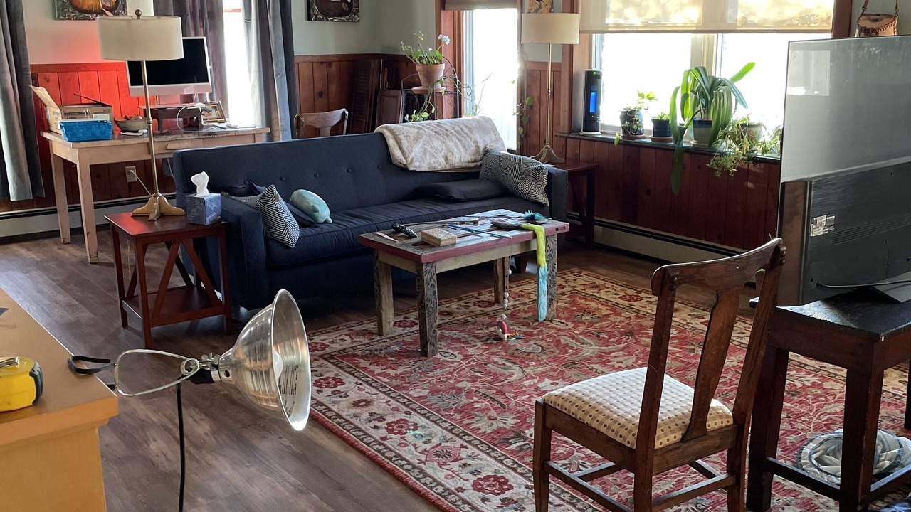 Photo of Livingroom in Newtonville