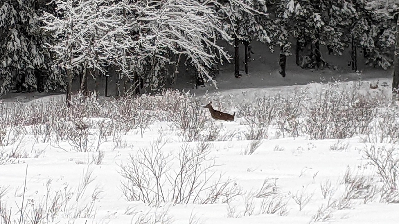 Photo of Outdoor in East Wakefield