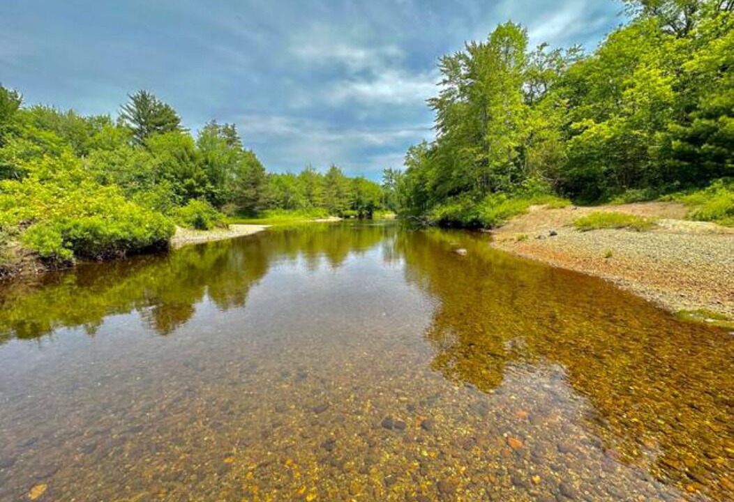 Photo of Others in North Hudson