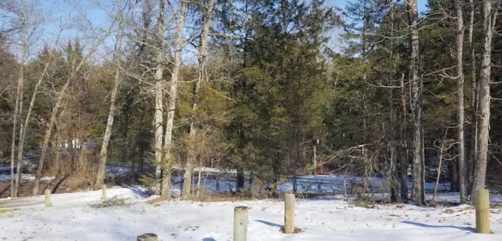 Photo of Outdoor in Peebles