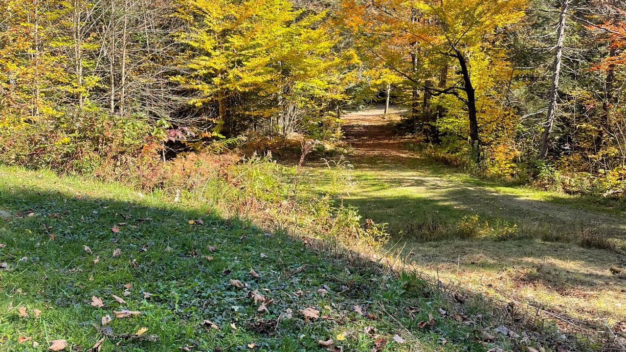 Photo of Outdoor in Chester