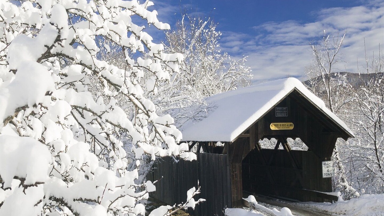 Photo of Others in Stowe