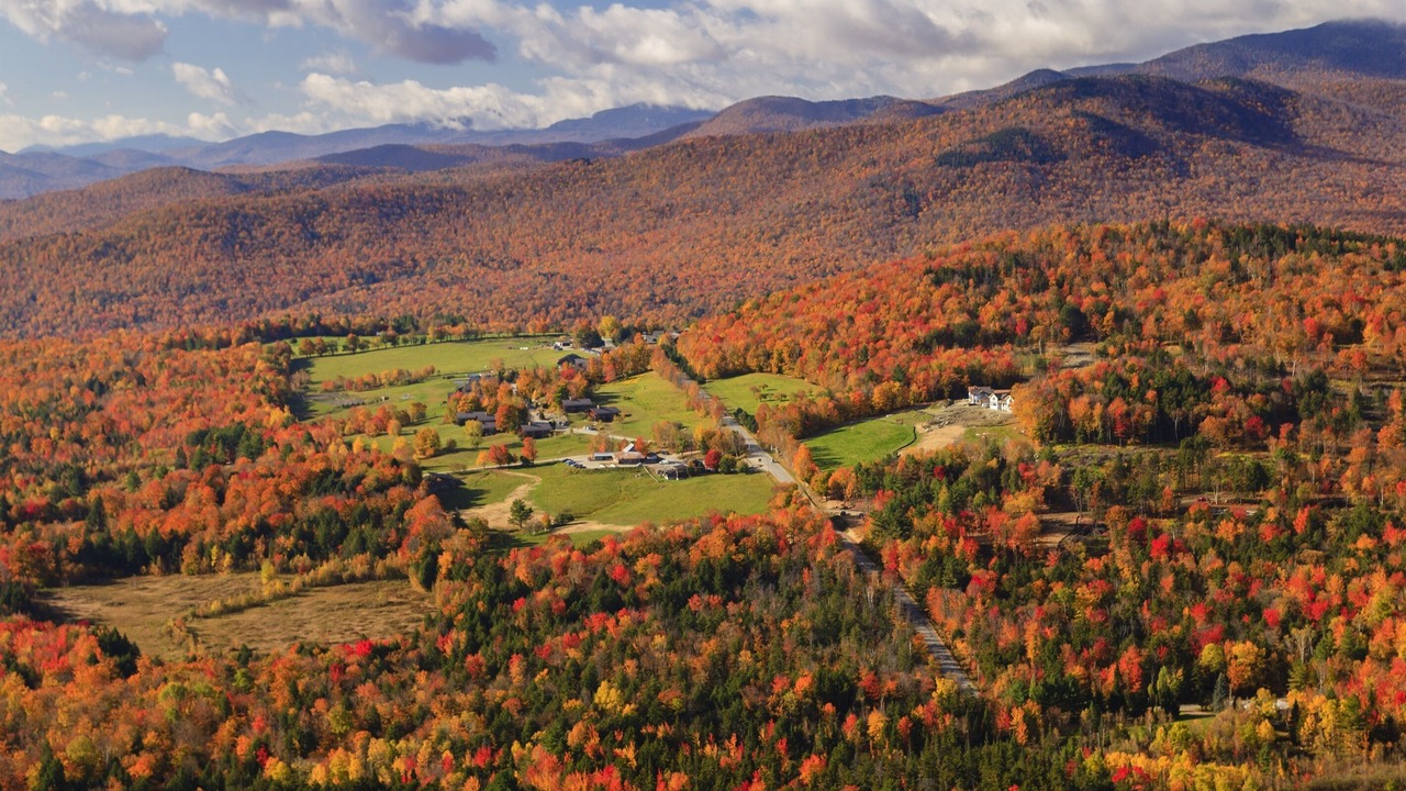 Photo of Others in Stowe