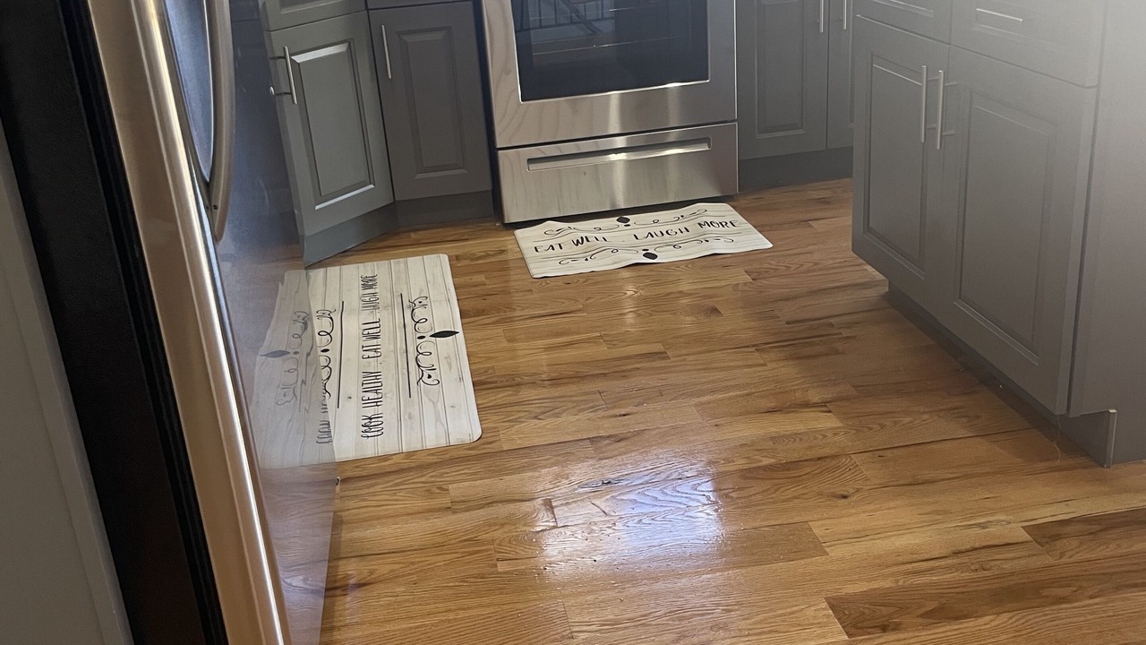 Photo of Kitchen in Williamsbridge