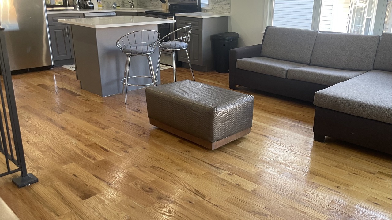 Photo of Livingroom in Williamsbridge