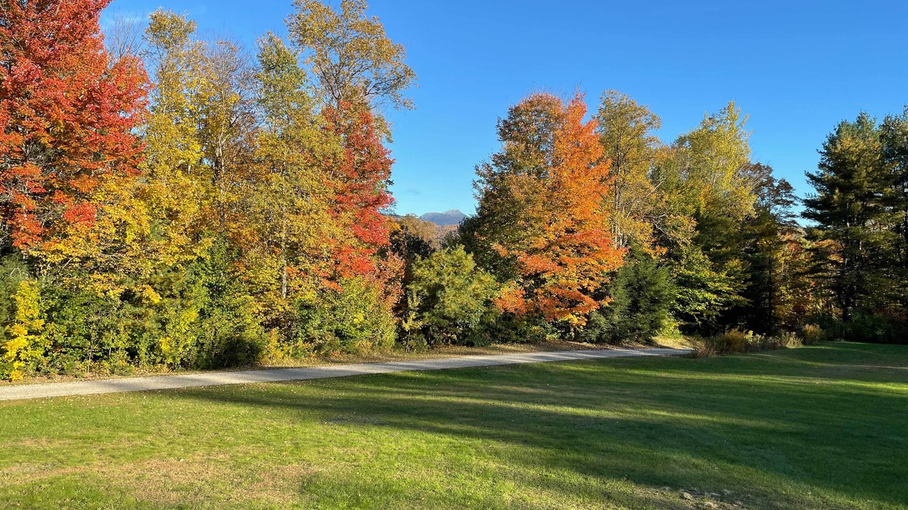 Photo of Outdoor in Richmond