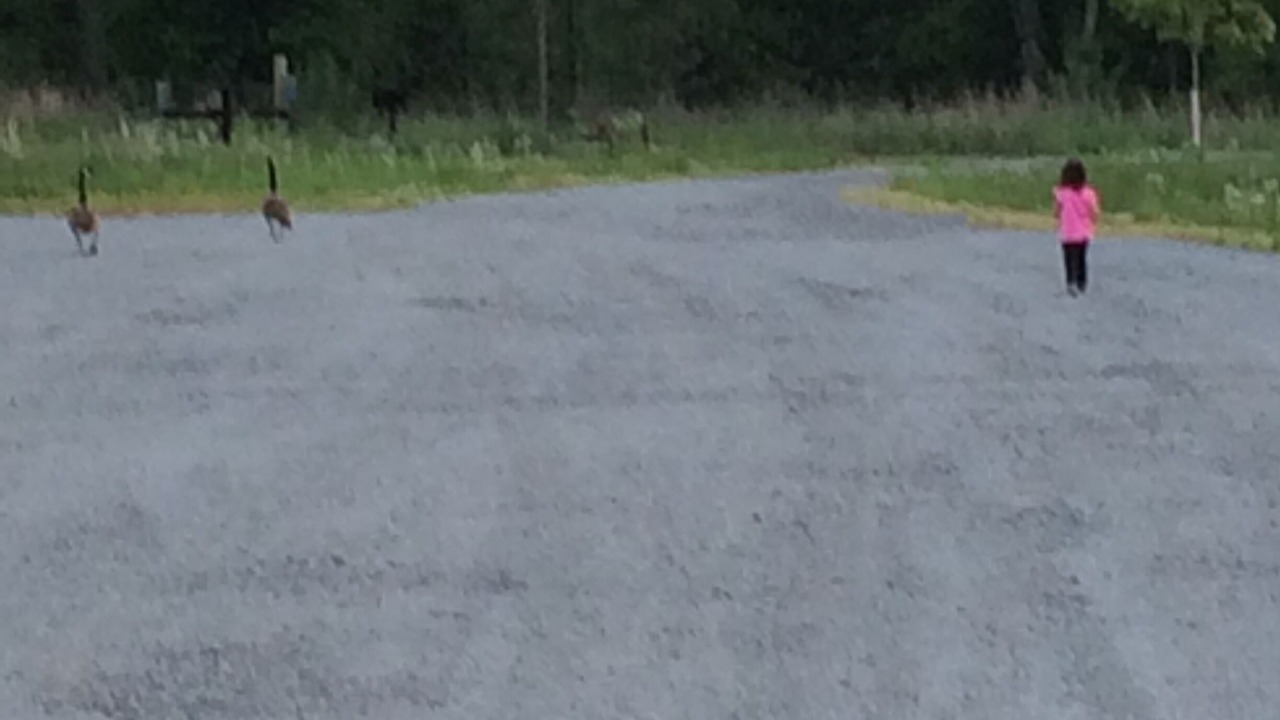 Photo of Others in Meadow Bridge