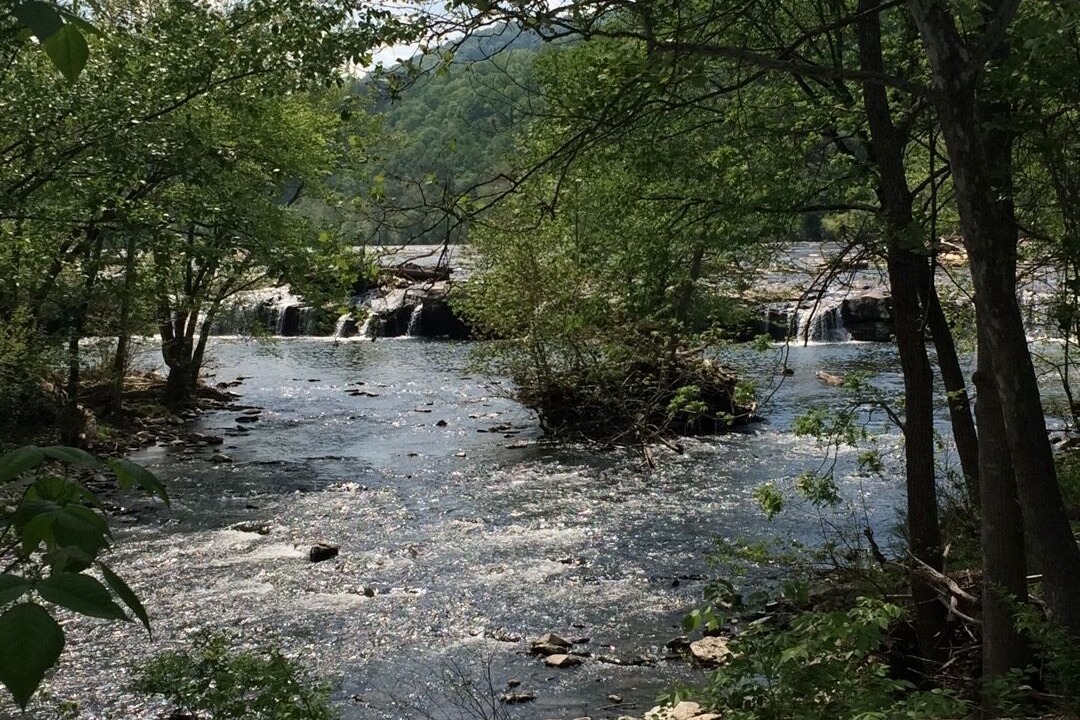 Photo of Others in Meadow Bridge