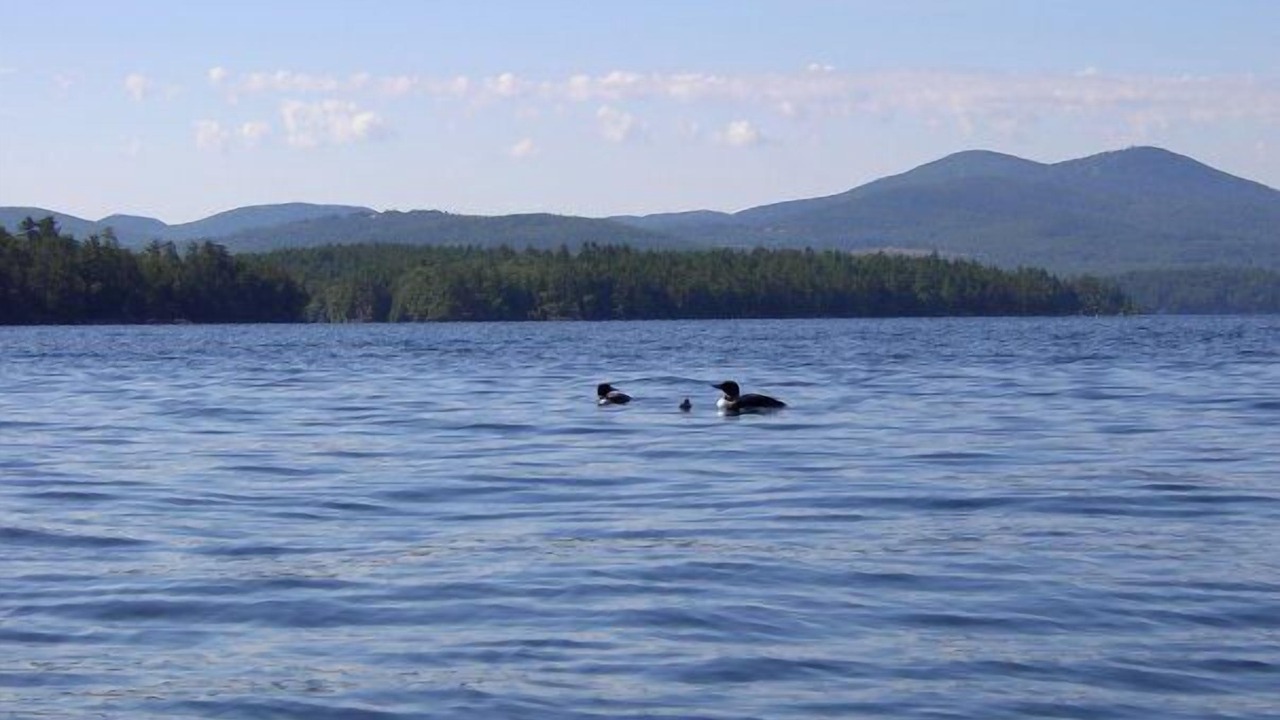 Photo of Others in Alton Bay