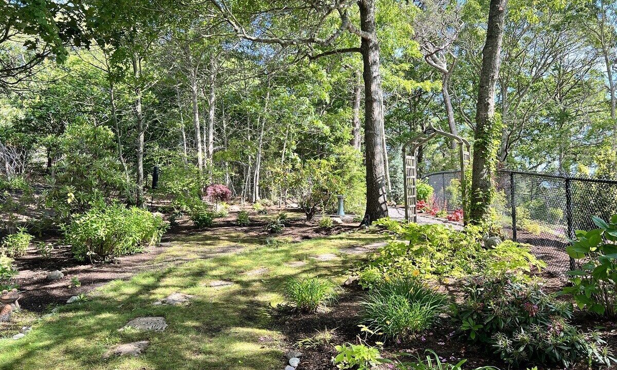 Photo of Outdoor in East Orleans