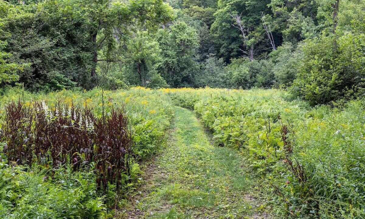 Photo of Outdoor in Johnson