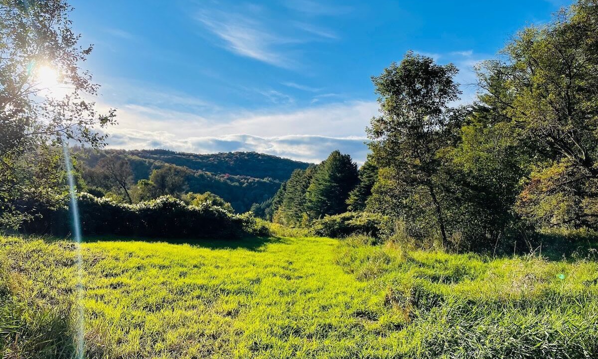 Photo of Outdoor in Johnson
