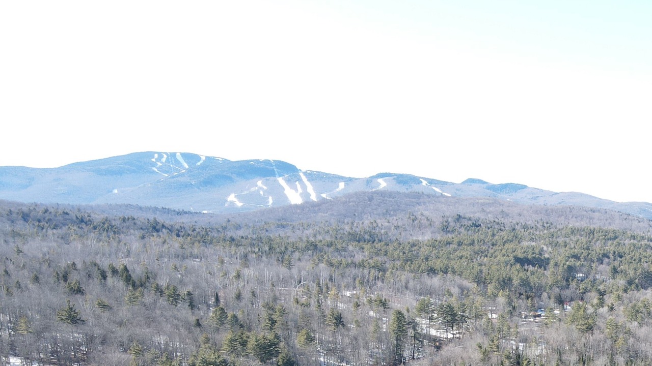 Photo of Others in North Creek