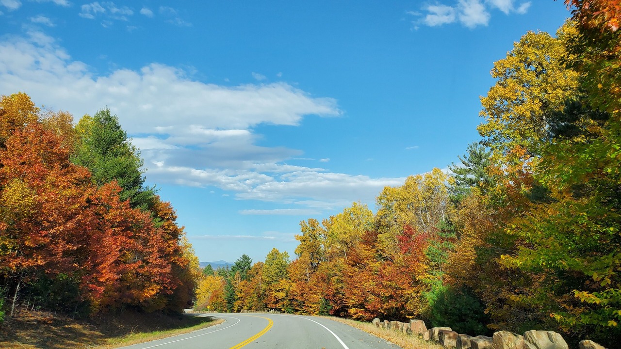 Photo of Outdoor in North Creek