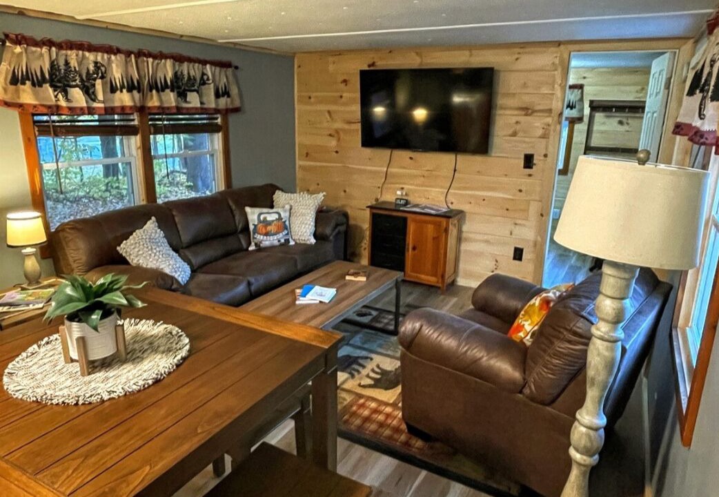 Photo of Livingroom in North Creek