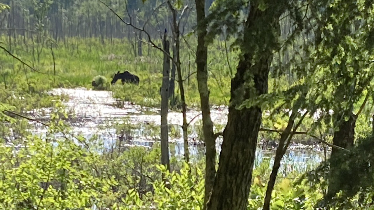 Photo of Outdoor in Parsonsfield